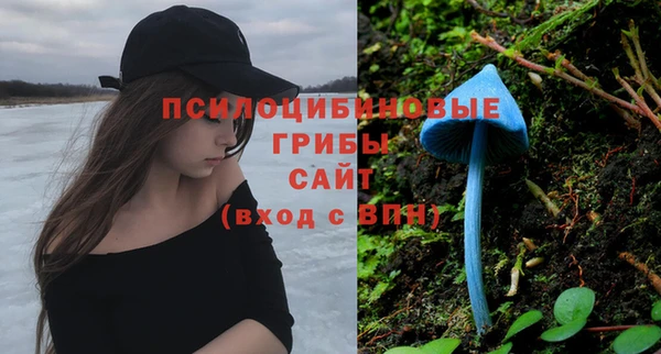 ГАЛЛЮЦИНОГЕННЫЕ ГРИБЫ Каменск-Шахтинский