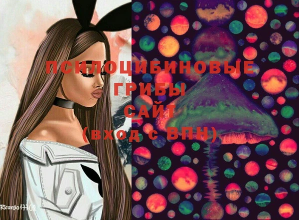 молекула духа Каменногорск