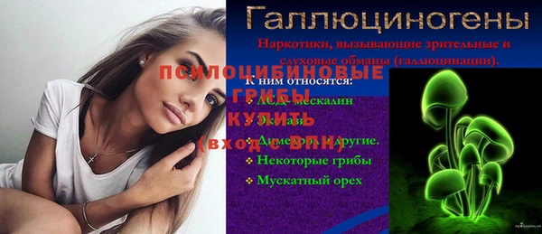 молекула духа Каменногорск