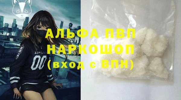 молекула духа Каменногорск